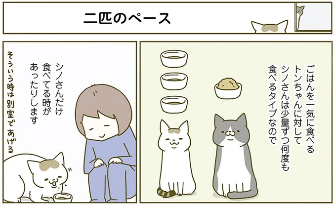 『うちの猫がまた変なことしてる。2』より