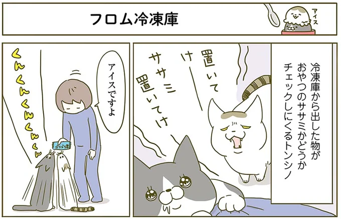 『うちの猫がまた変なことしてる。2』より