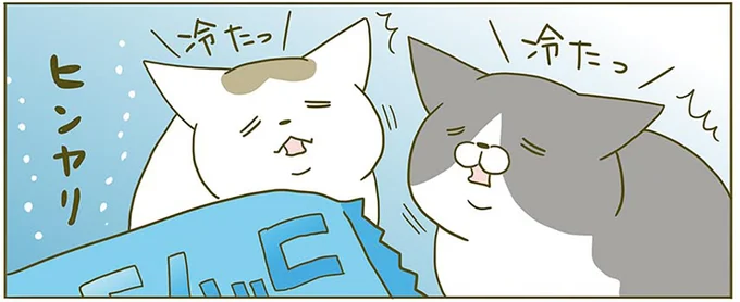 『うちの猫がまた変なことしてる。2』より