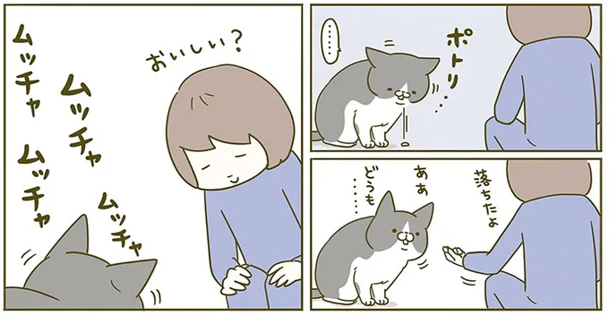 『うちの猫がまた変なことしてる。2』より