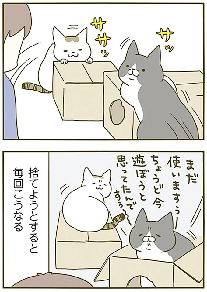 『うちの猫がまた変なことしてる。2』より