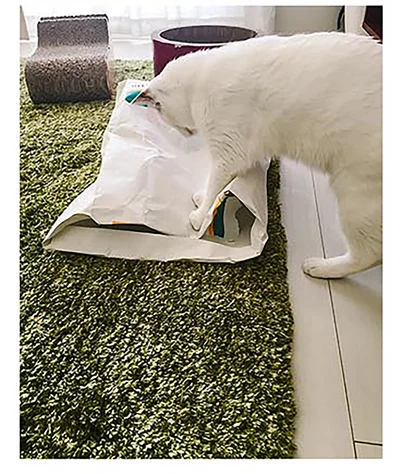 『うちの猫がまた変なことしてる。2』より