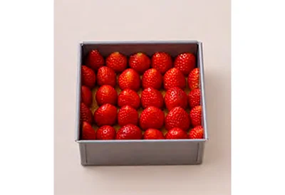 切り口を外側に向けて貼りつけるように並べます