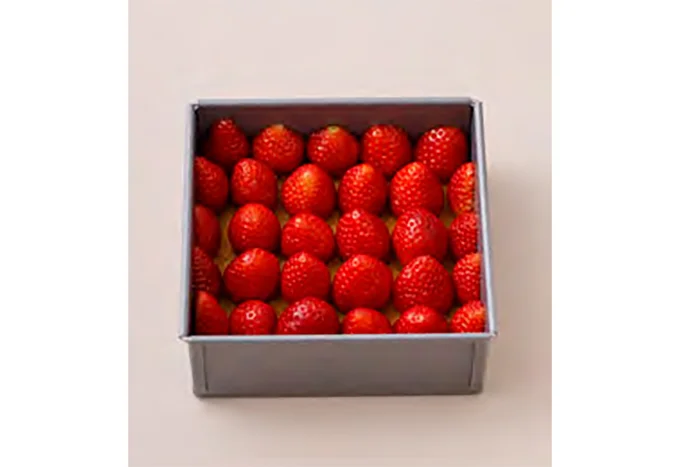 切り口を外側に向けて貼りつけるように並べます