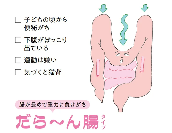 腸が長めで重力に負けがち「だら～ん腸」タイプ