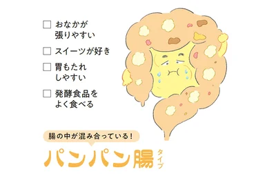 腸の中が混み合っている！「パンパン腸タイプ」タイプ