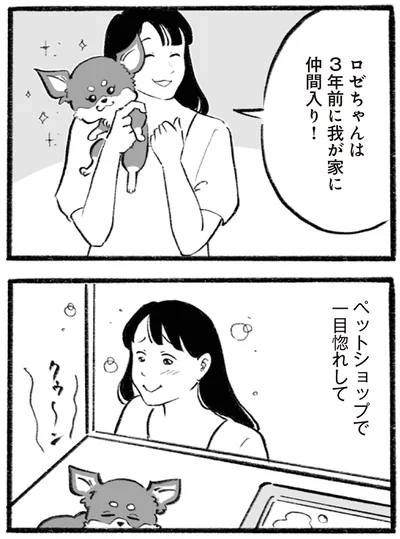 『イギリス人の夫は優しさが異次元で、毎日サプライズ！』より