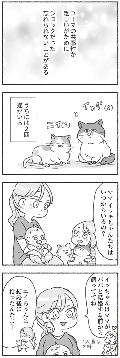 『夫と心が通わない カサンドラ症候群で笑えなくなった私が離婚するまでの話』より