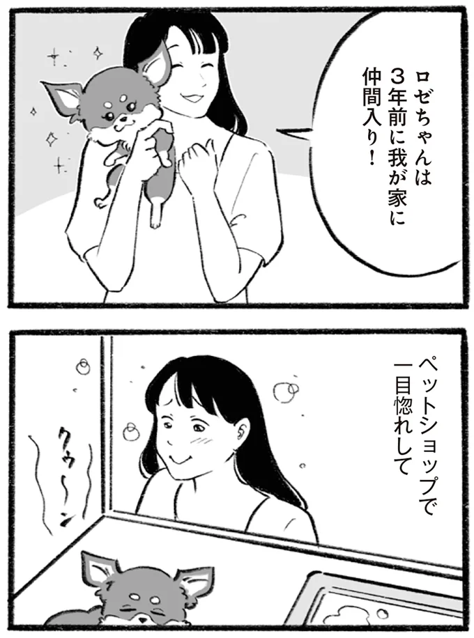 ペットショップで一目惚れして