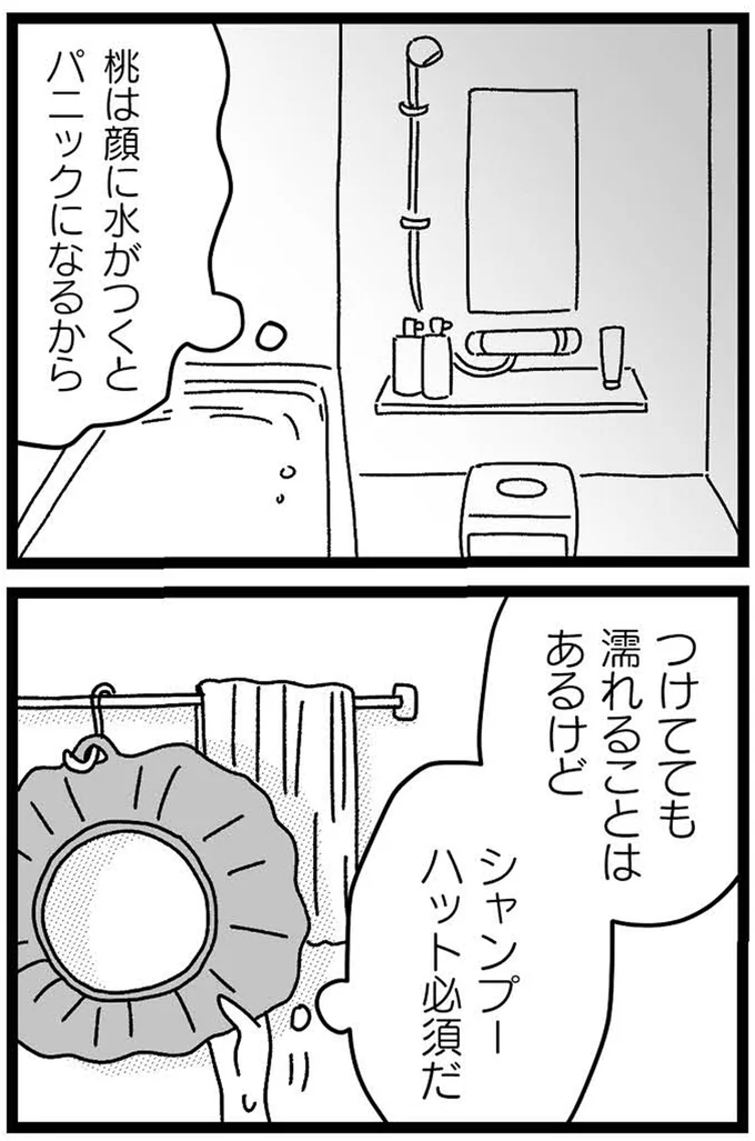 『妹なんか生まれてこなければよかったのに きょうだい児が自分を取り戻す物語』より