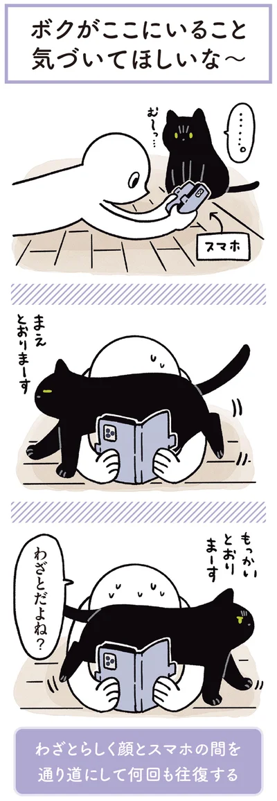 『黒猫ろんと暮らしたら3』より