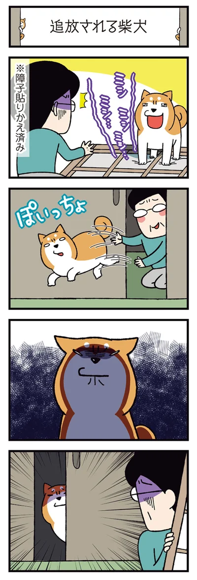 『ドヤ顔柴犬どんぐり2』より