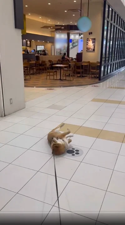 「どうしてもダメですか…！？」▶駄々をこねる姿が可愛すぎる！（⇒次へ）