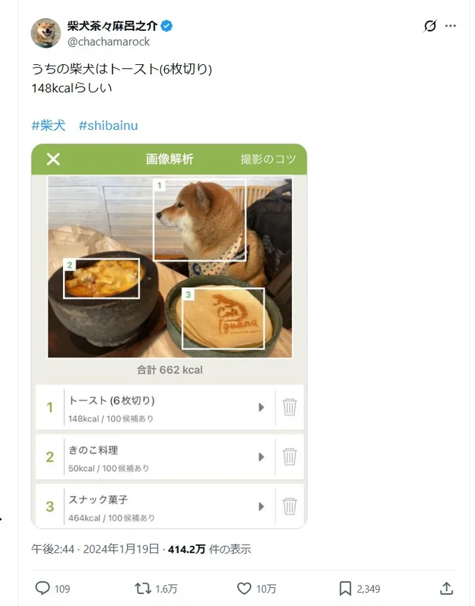 うちの柴犬はトースト（6枚切り）▶6枚切り…！？（⇒次へ）