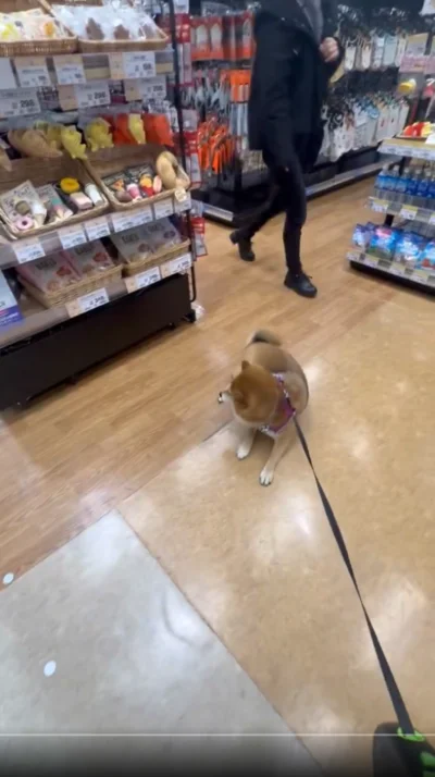 急に座り込みました▶ショップのお姉さんに会えなかったので…（⇒次へ）