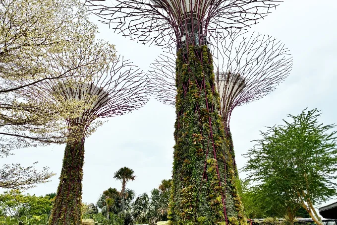 フォトジェットなスーパーツリー