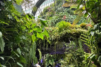 世界中の花々が咲き誇る「フラワー・ドーム」