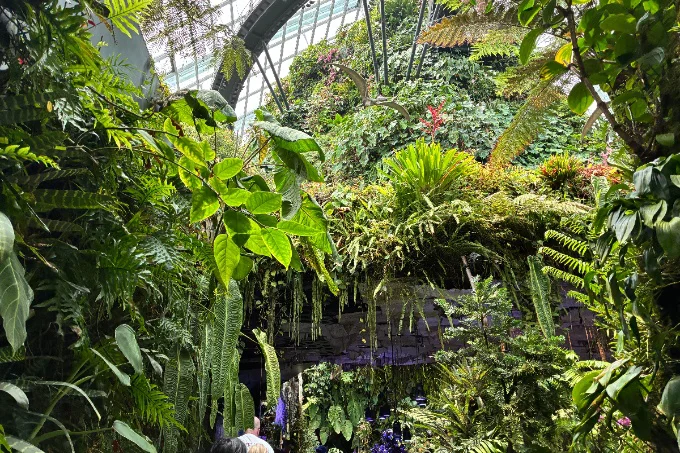 世界中の花々が咲き誇る「フラワー・ドーム」