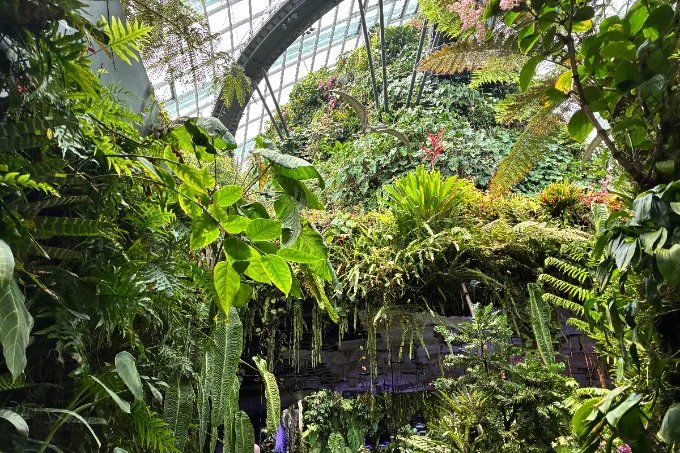 別世界に迷い込んだような幻想的な体験ができる植物園