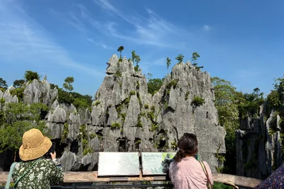  シンガポールの新名所「レインフォレスト・ワイルド・アジア」