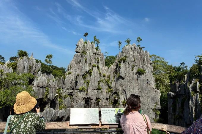  シンガポールの新名所「レインフォレスト・ワイルド・アジア」