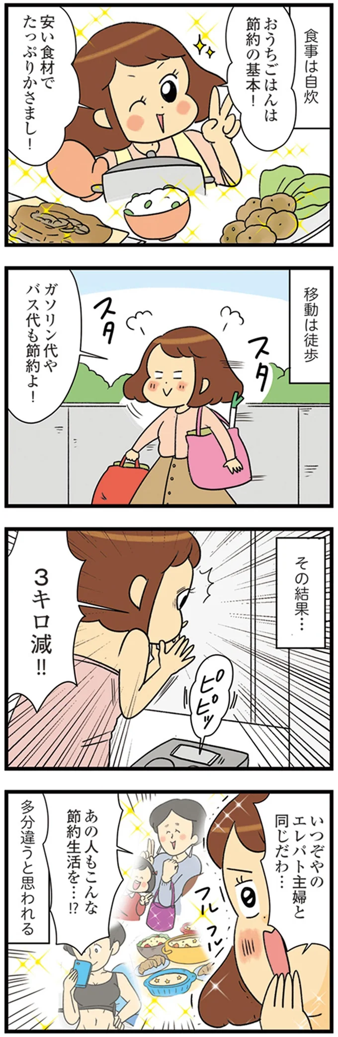 『150万のバッグが欲しい主婦の 夫に内緒の買い物日記』より