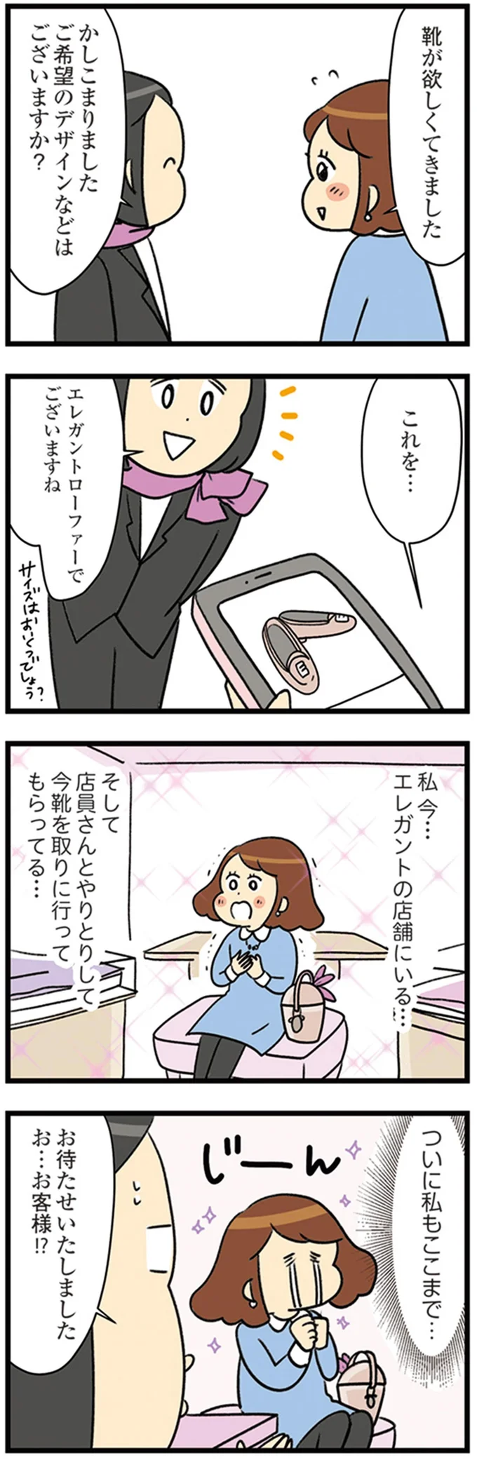 『150万のバッグが欲しい主婦の 夫に内緒の買い物日記』より