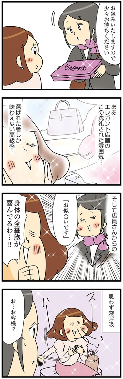 『150万のバッグが欲しい主婦の 夫に内緒の買い物日記』より