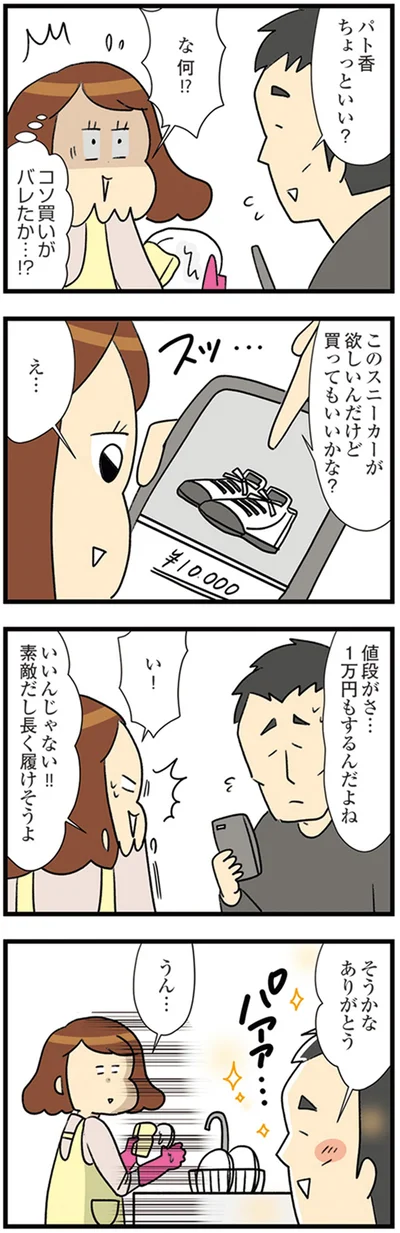 『150万のバッグが欲しい主婦の 夫に内緒の買い物日記』より