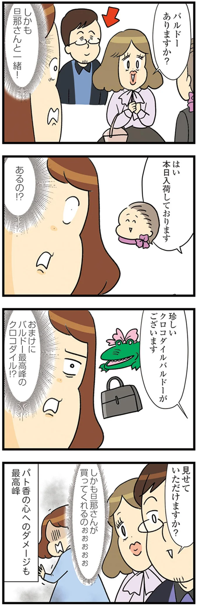 『150万のバッグが欲しい主婦の 夫に内緒の買い物日記』より