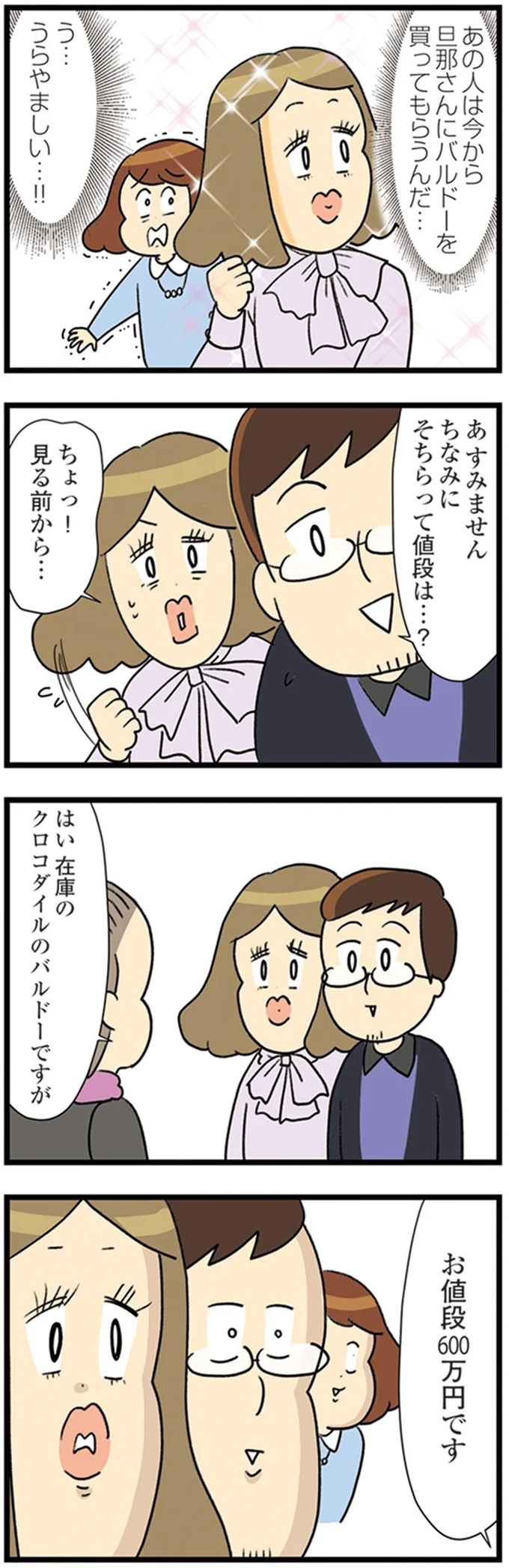 『150万のバッグが欲しい主婦の 夫に内緒の買い物日記』より