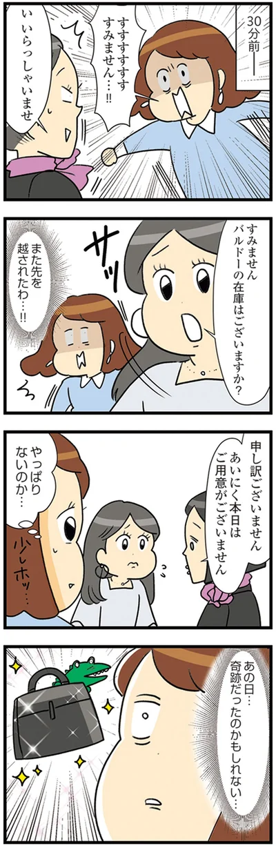 『150万のバッグが欲しい主婦の 夫に内緒の買い物日記』より