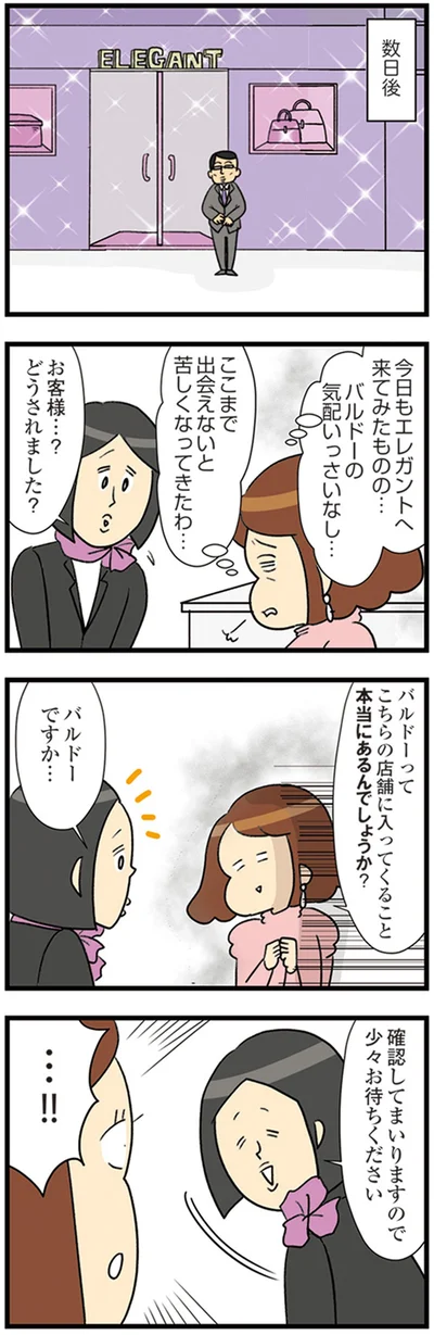 『150万のバッグが欲しい主婦の 夫に内緒の買い物日記』より