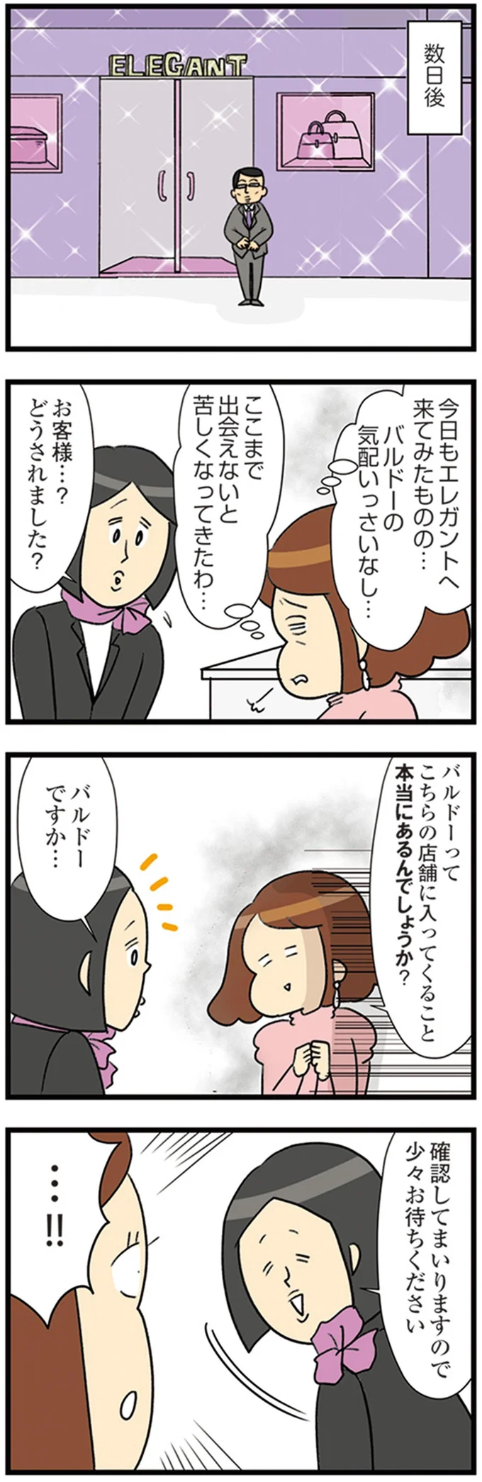 『150万のバッグが欲しい主婦の 夫に内緒の買い物日記』より