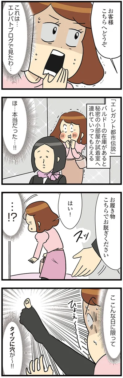 『150万のバッグが欲しい主婦の 夫に内緒の買い物日記』より