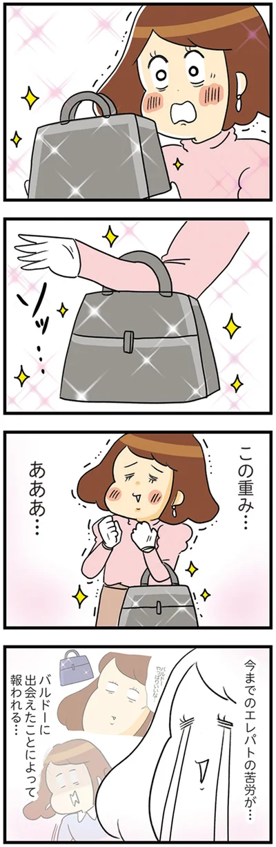 『150万のバッグが欲しい主婦の 夫に内緒の買い物日記』より
