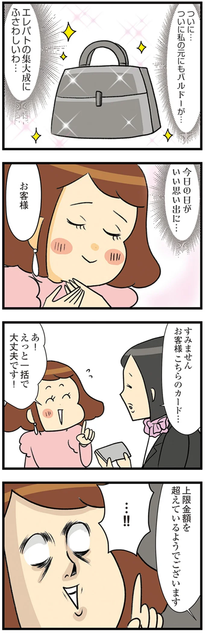 『150万のバッグが欲しい主婦の 夫に内緒の買い物日記』より