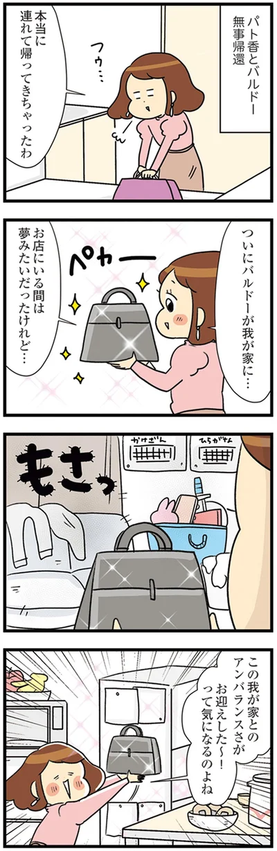 ついにバルドーが我が家に…