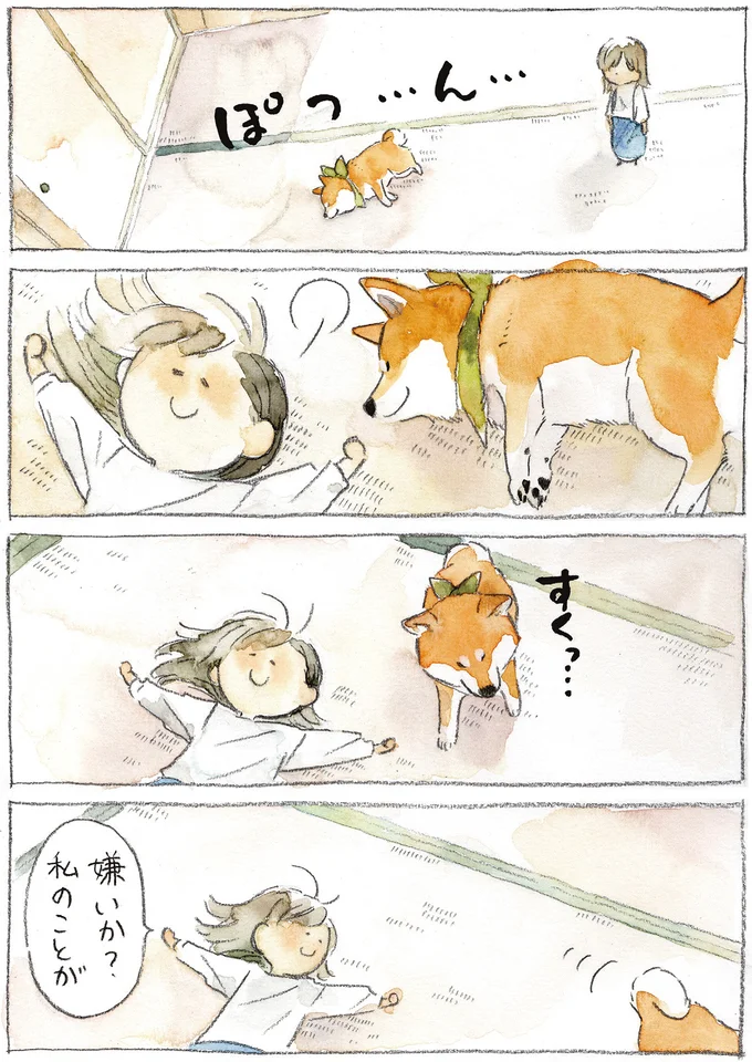 『柴犬ぽんちゃん、今日もわが道を行く2』より