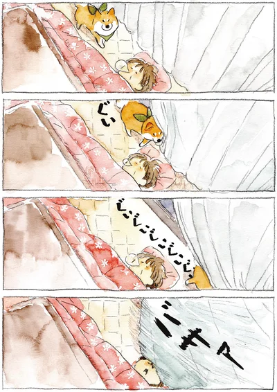 『柴犬ぽんちゃん、今日もわが道を行く2』より