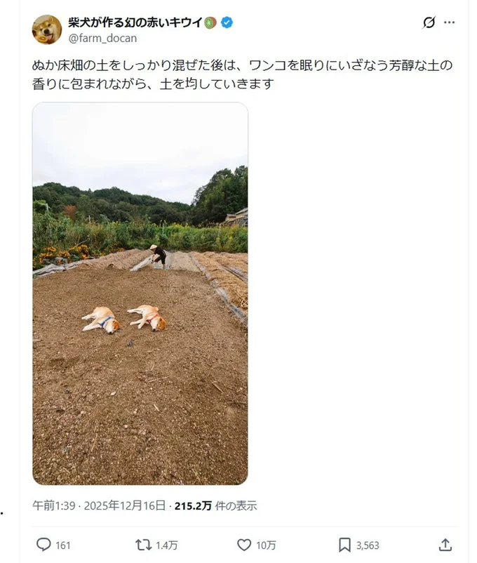 「ワンコを眠りにいざなう芳醇な土の香り」と投稿されたポストです▶畑の真ん中にいるのは…（⇒次へ）
