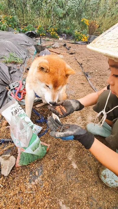 今から蒔くお豆に興味津々？▶ワンコたちが大好きな香りのする畑（⇒次へ）