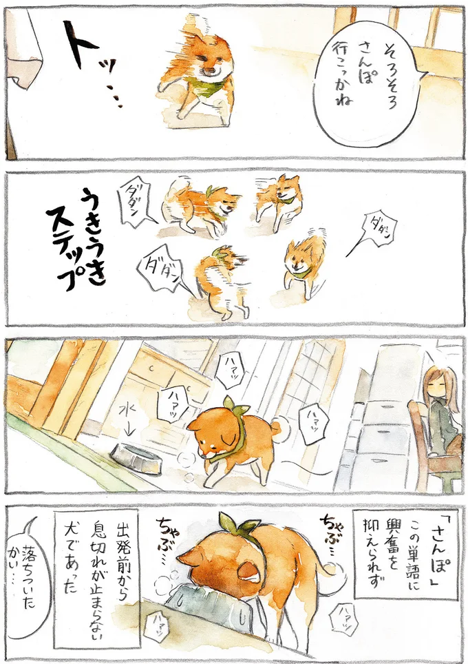 『柴犬ぽんちゃん、今日もわが道を行く』より