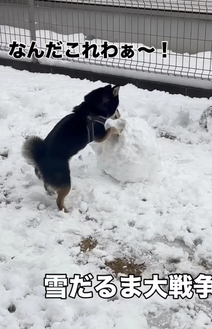 ホリホリと雪玉を削っている（⇒次へ）