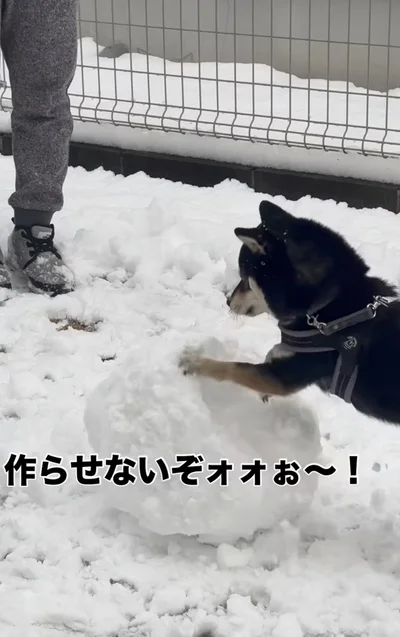 「作らせないぞぉ〜！」▶ふと手を止め…（⇒次へ）