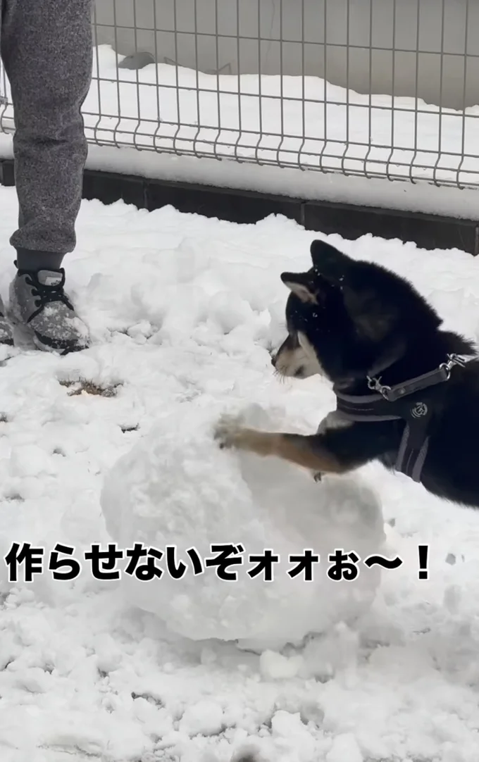 「作らせないぞぉ〜！」▶ふと手を止め…（⇒次へ）