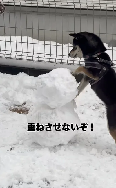 「重ねさせないぞ！」▶頭をポトンと落とし…（⇒次へ）