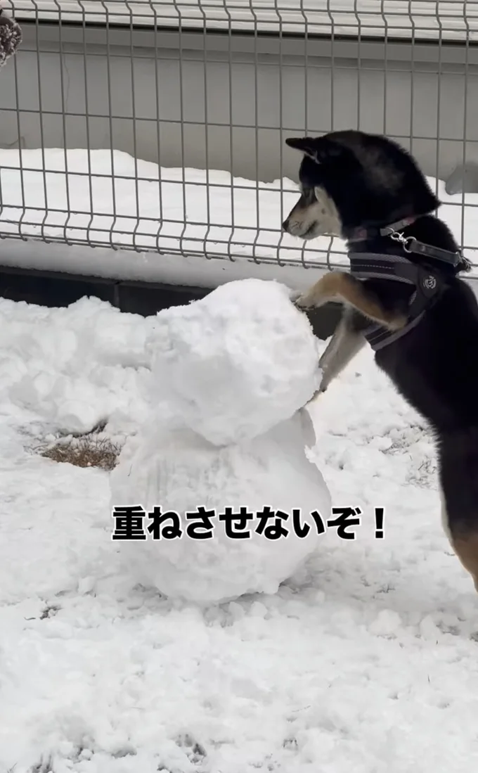 「重ねさせないぞ！」▶頭をポトンと落とし…（⇒次へ）