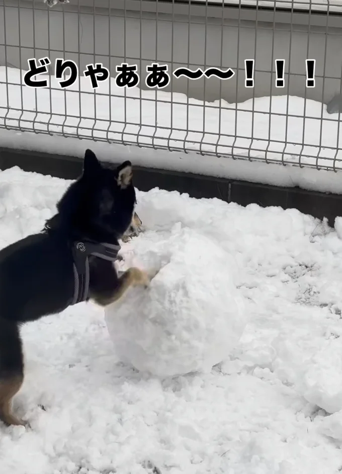 「どりゃぁ〜！」高速ホリホリ▶再び…（⇒次へ）