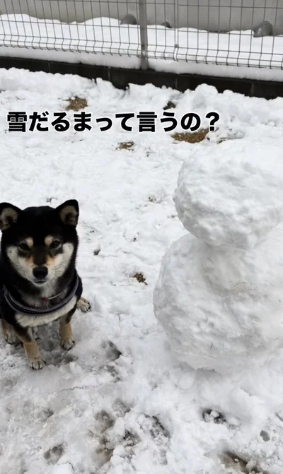 雪だるまが完成！▶いつもは甘えん坊でおちゃめさん（⇒次へ）